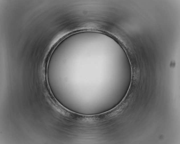 X0000097491078200802221410