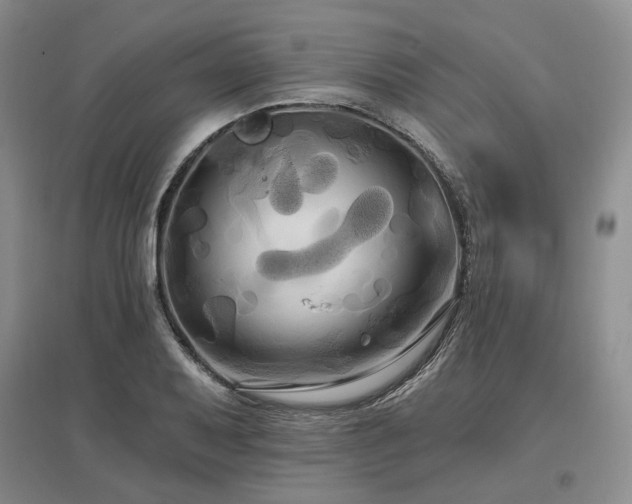 X0000097491079200802221410