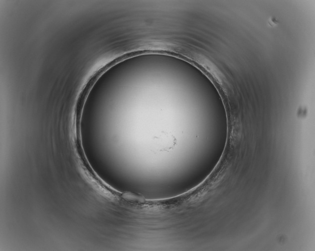 X0000097491080200802221410