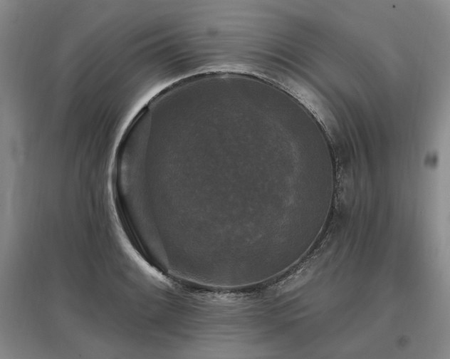 X0000097491084200802221410