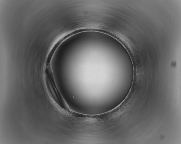 X0000097491085200802221410