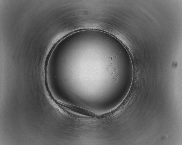 X0000097491088200802221410