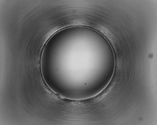 X0000097491089200802221410