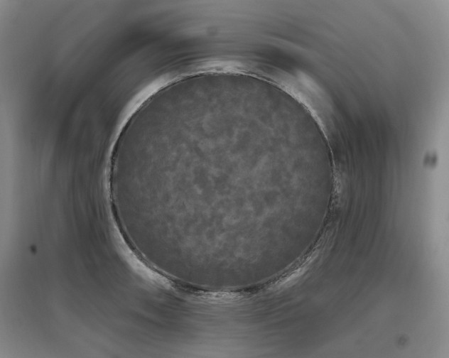 X0000097491090200802221410