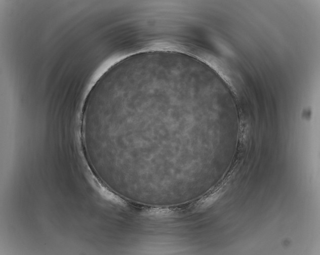 X0000097491094200802221410