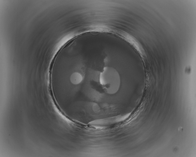 X0000097491095200802221410