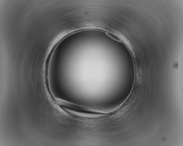 X0000097491096200802221410