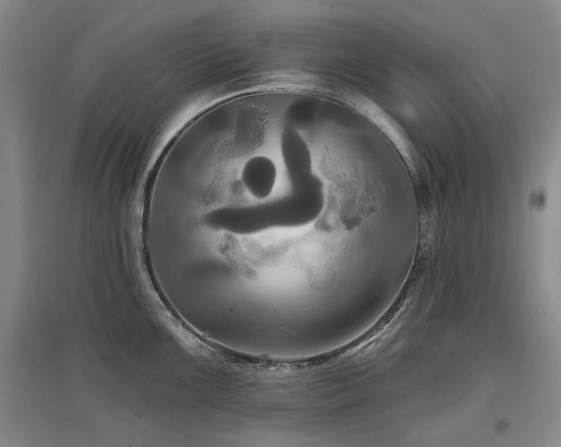 X0000097491099200802221410
