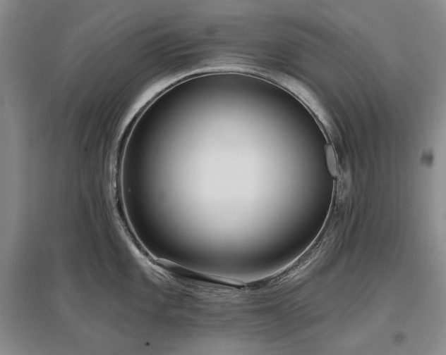 X0000097491101200802221410
