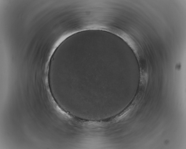 X0000097491102200802221410