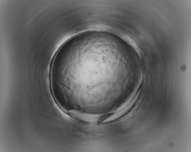 X0000097491103200802221409
