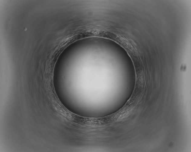 X0000097491105200802221409