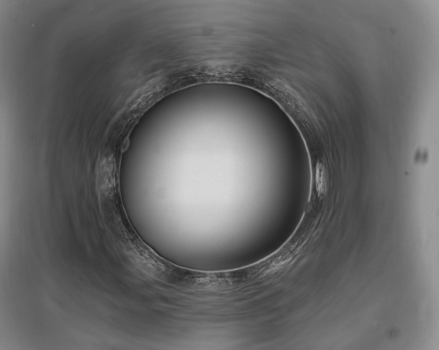 X0000097491107200802221409