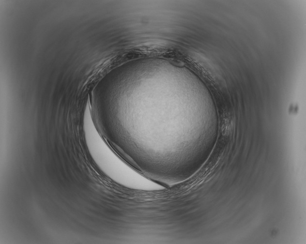 X0000097491108200802221409