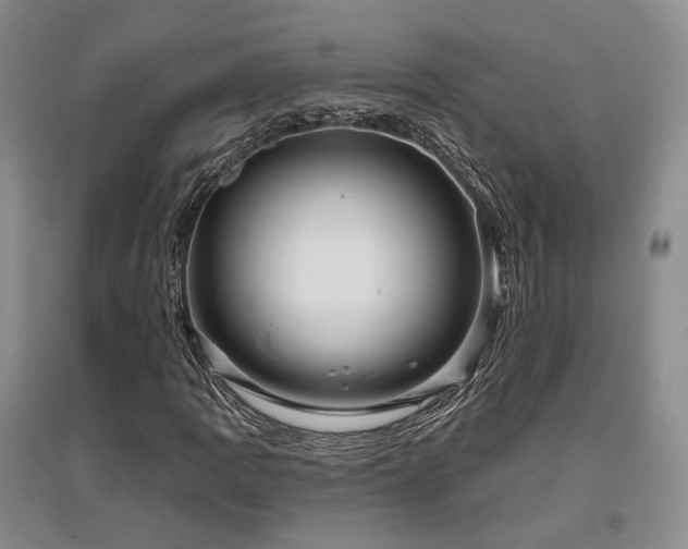 X0000097491109200802221409