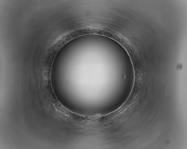 X0000097491110200802221409