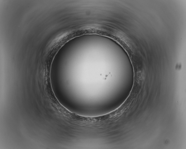 X0000097491111200802221409