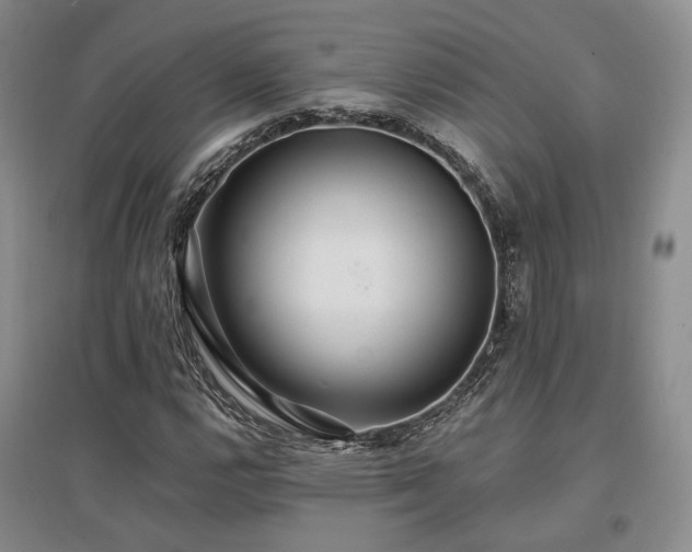 X0000097491112200802221409