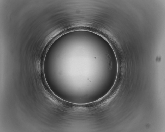 X0000097491113200802221409
