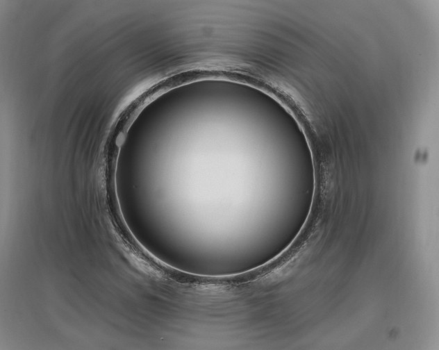 X0000097491114200802221409