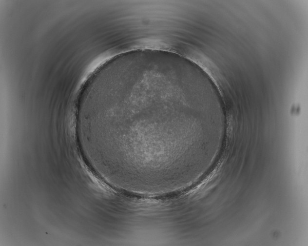 X0000097491115200802221409