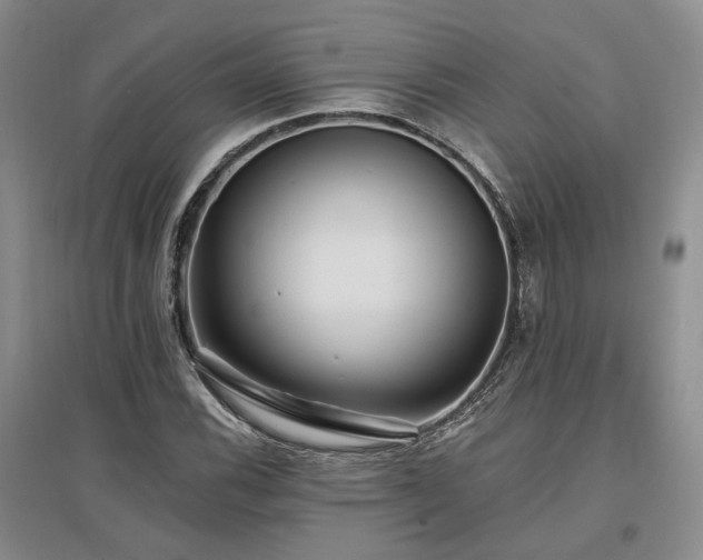 X0000097491116200802221409