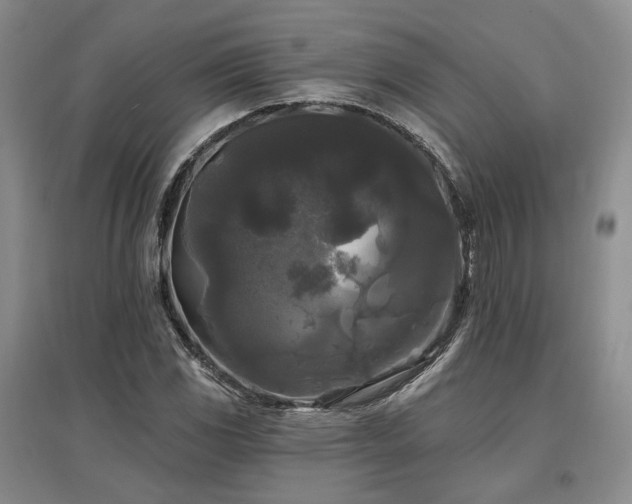 X0000097491117200802221409