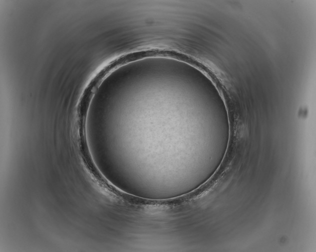 X0000097491118200802221409