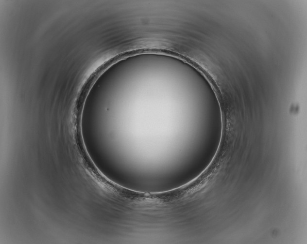 X0000097491119200802221409
