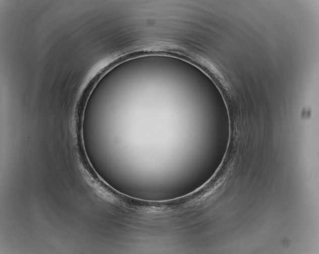 X0000097491122200802221409