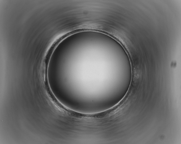X0000097491123200802221409