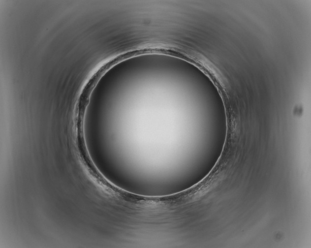 X0000097491124200802221409