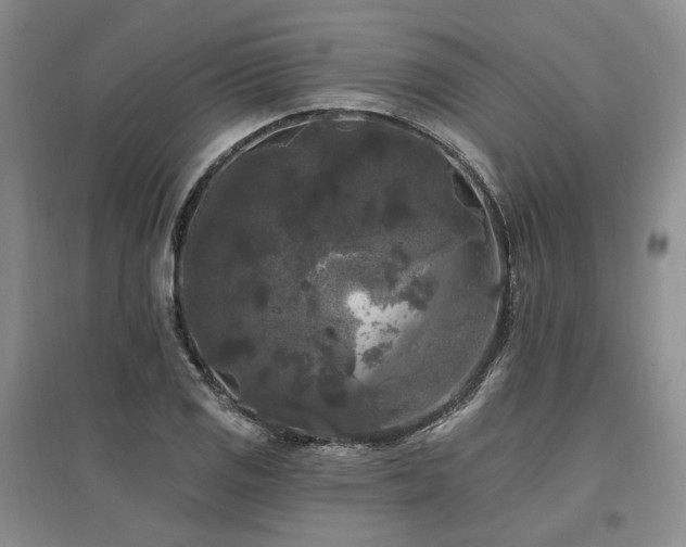 X0000097491125200802221409