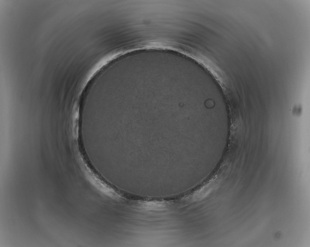 X0000097491126200802221409