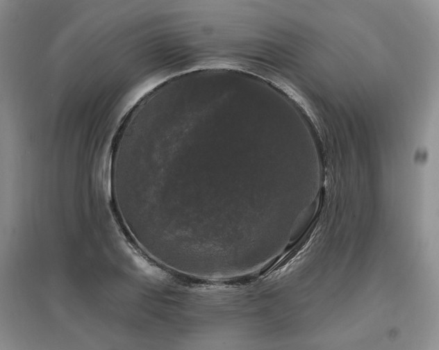 X0000097491127200802221409