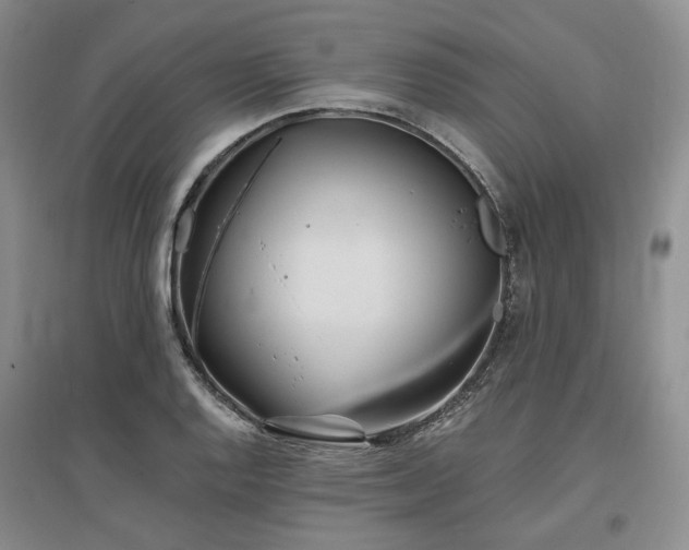 X0000097491128200802221409