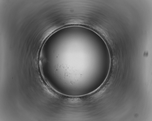 X0000097491129200802221409