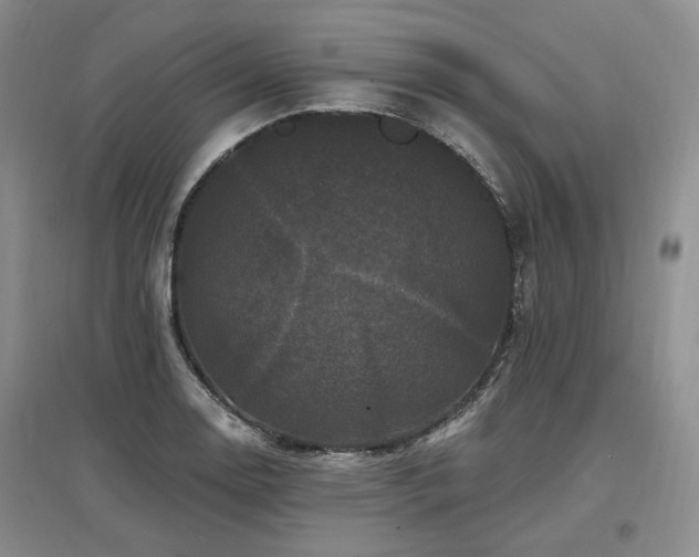 X0000097491130200802221409