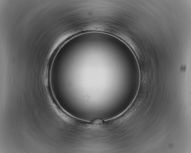 X0000097491131200802221409