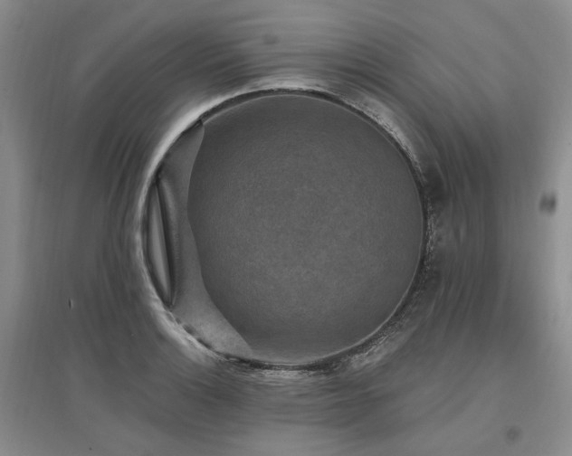 X0000097491132200802221409