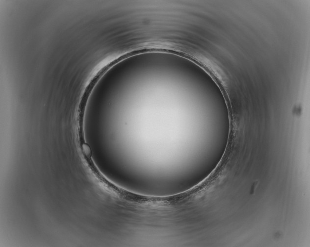 X0000097491133200802221409
