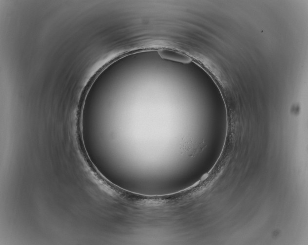 X0000097491134200802221409