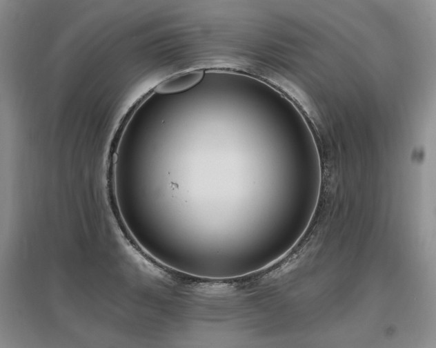 X0000097491135200802221409