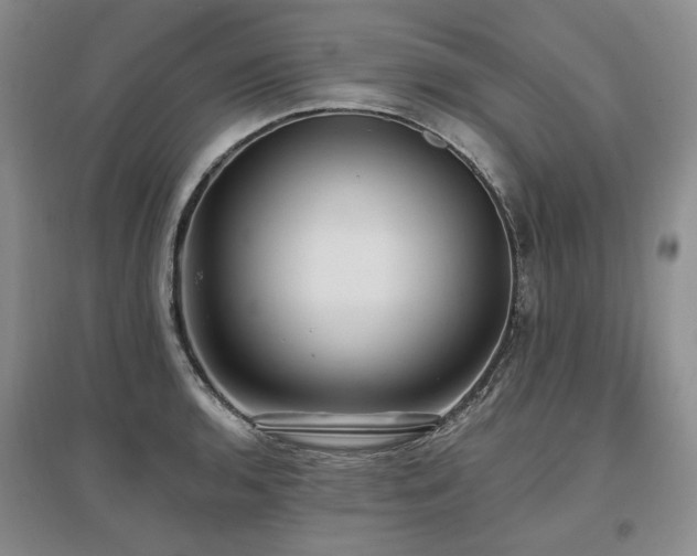 X0000097491136200802221409