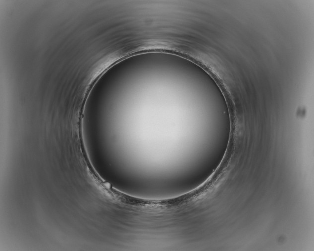 X0000097491137200802221409