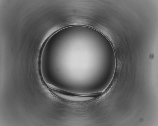 X0000097491138200802221409
