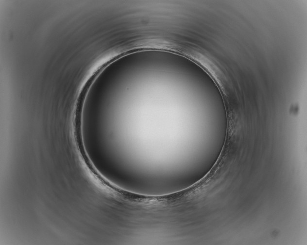 X0000097491139200802221409