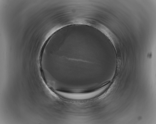 X0000097491141200802221409