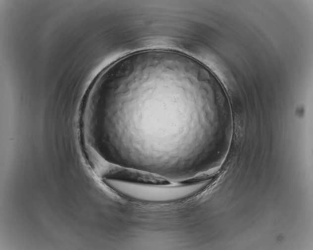 X0000097491142200802221409