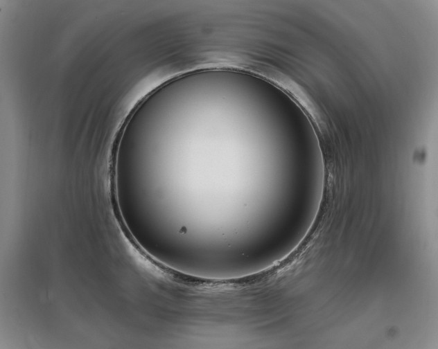 X0000097491143200802221409